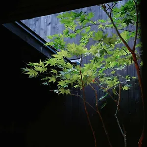 季楽 銭屋町 , 京都市 日本